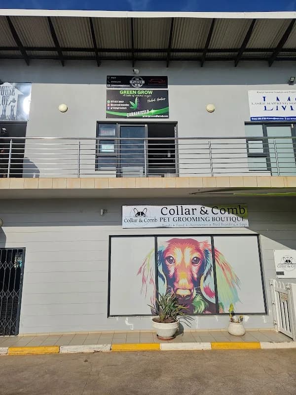Green Growth Cannabis & CBD Lounge in Ballito CBD