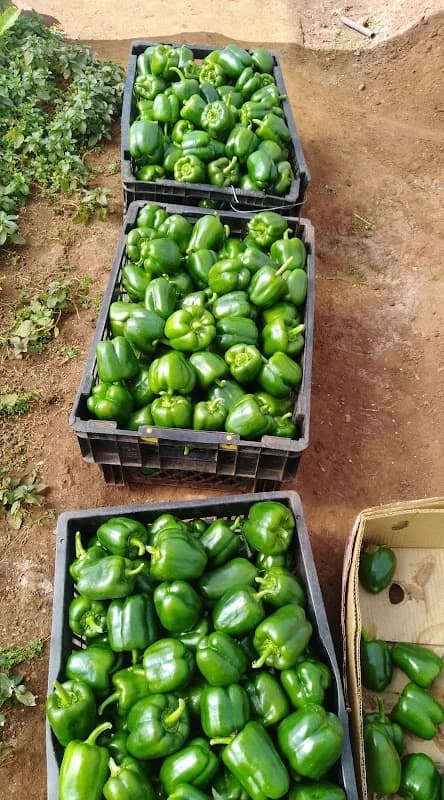 GroSpace - the Online Farmers market in Fourways