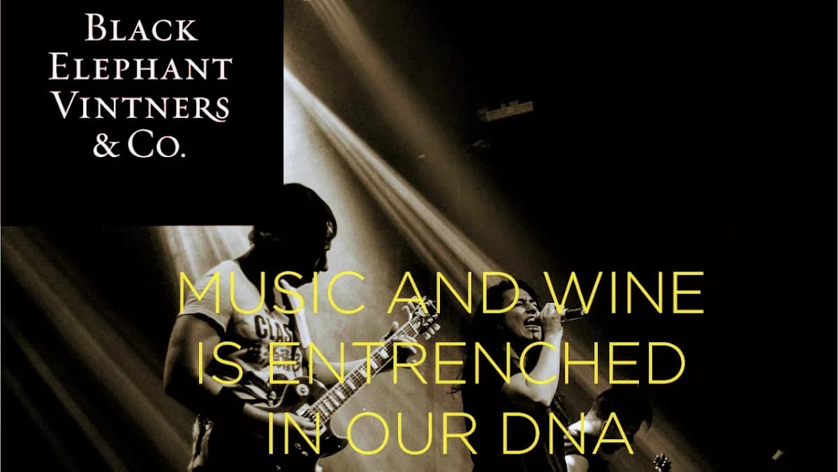 Black Elephant Vintners in Franschhoek