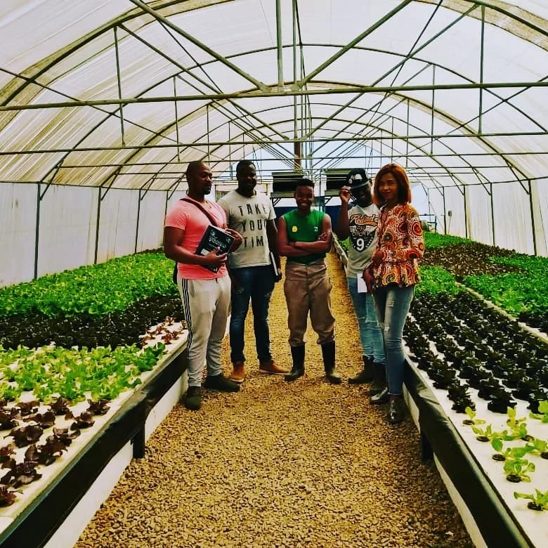New Liff hydroplants in Esther Park