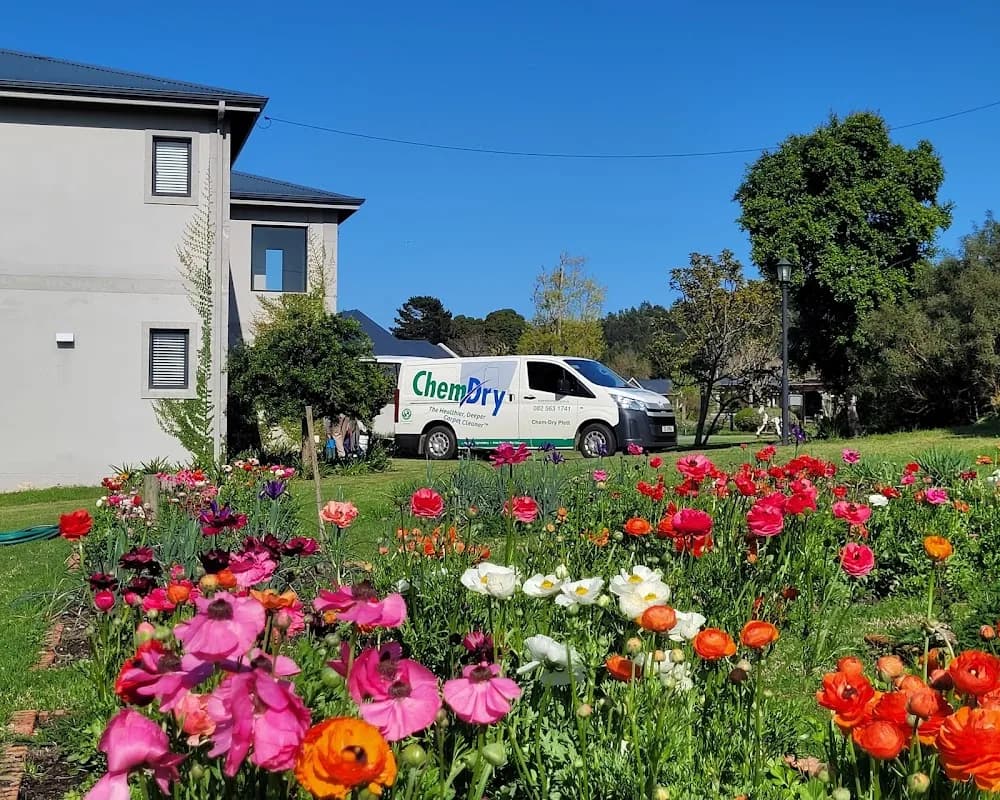 Chem-Dry® KPS in Knysna CBD