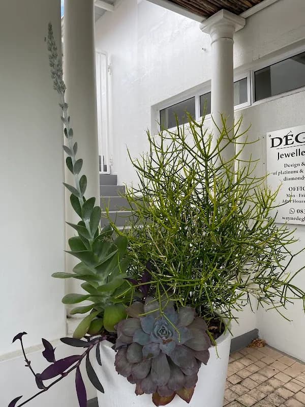 Institute Aesthetic in Strand