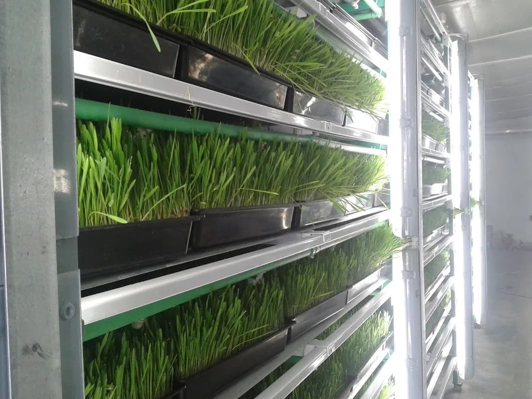 GreenFeed Growing Systems (Pty) Ltd in West Rand