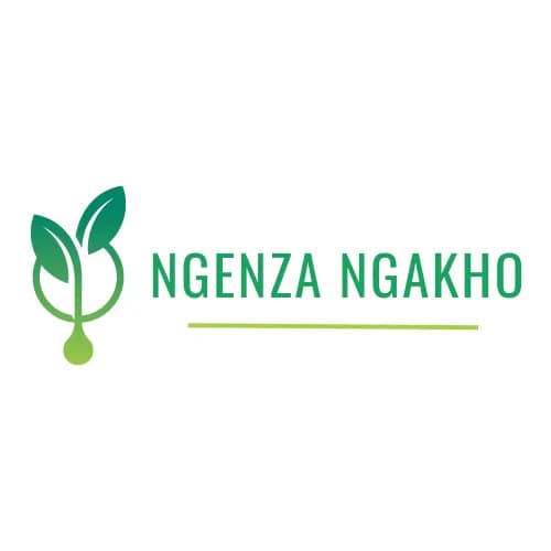 Ngenza Ngakho Group in Waterfall