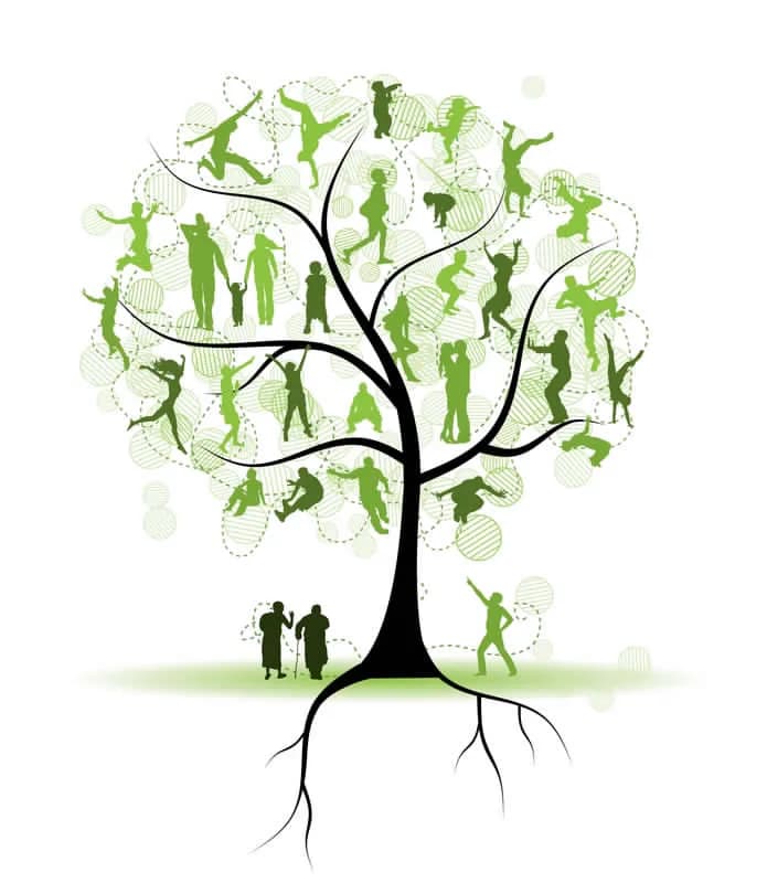 Clinical Psychologist in Rondebosch