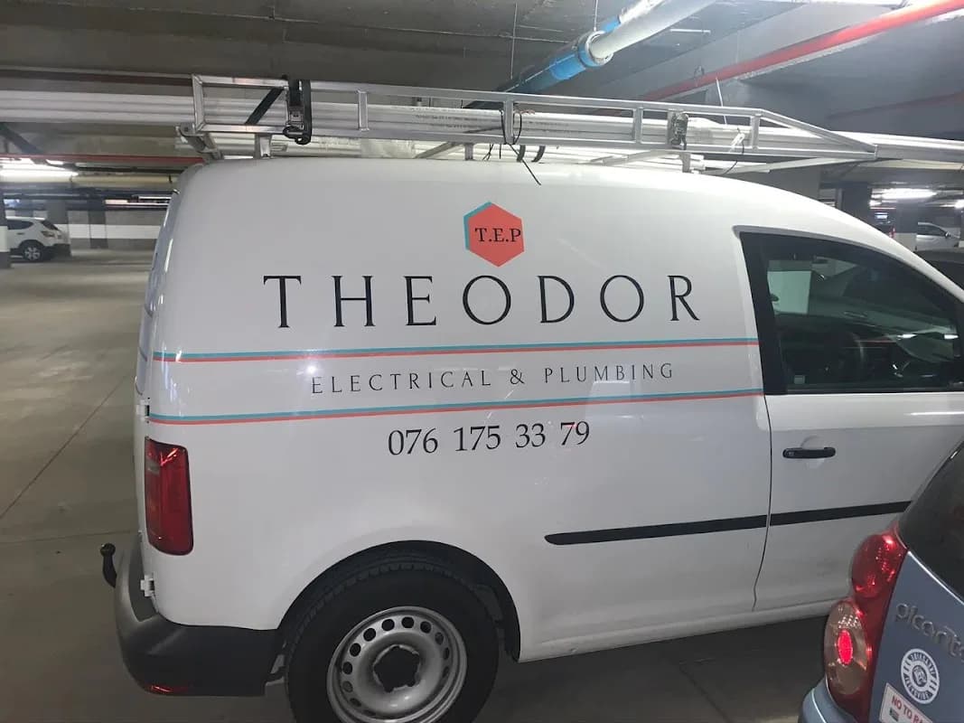 Theodor Electrical & Plumbing in Constantia
