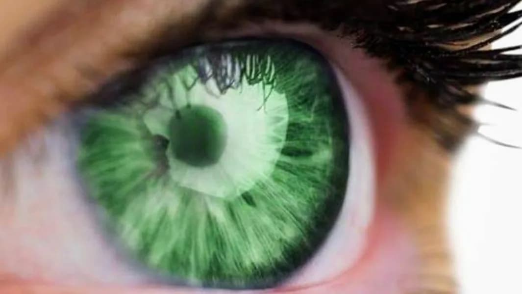 The Eye Gallery Optometrists in Umhlanga