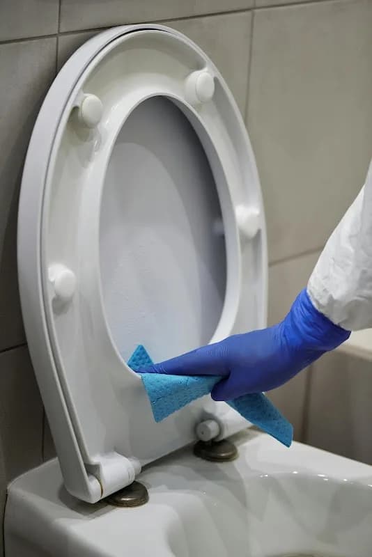 Dirtless Cleaning Services in Mitchells Plain
