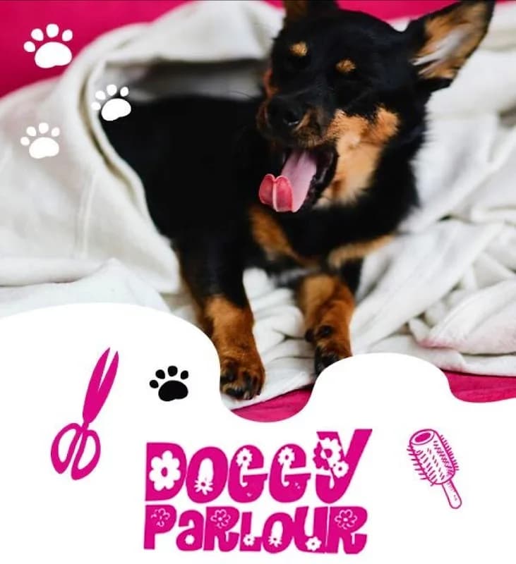 Monument Park Doggy Parlour in Waterkloof Ridge