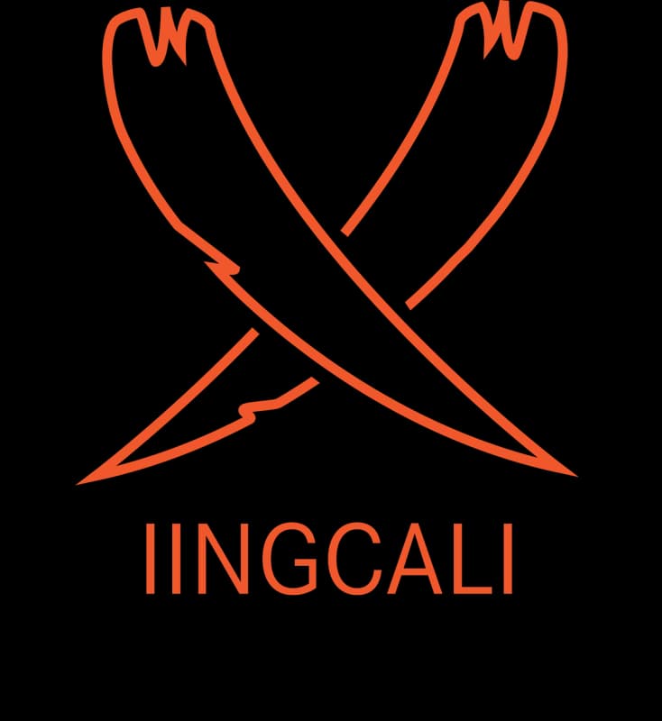 Iingcali Accountants in Gugulethu