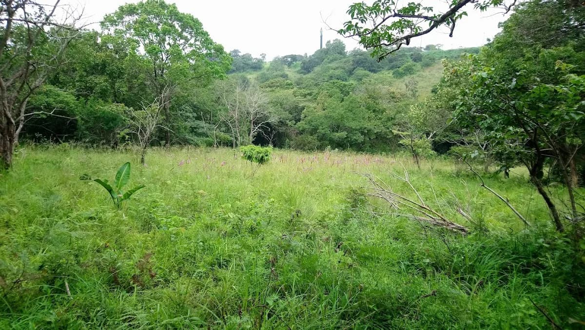 Westville Eco Trail in Westville