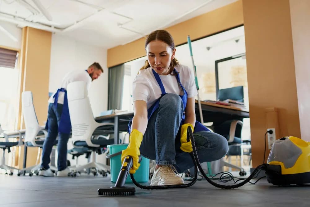 Randburg Deep Cleaners in Linden