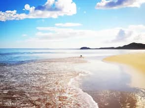Ocean View Chartered Accountants in Chatsworth