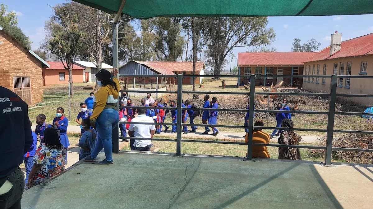 Sunflower farmers market in Potchefstroom CBD