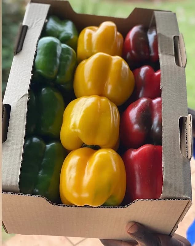 REBELO AGRICULTURAL PRODUCTS in Boksburg