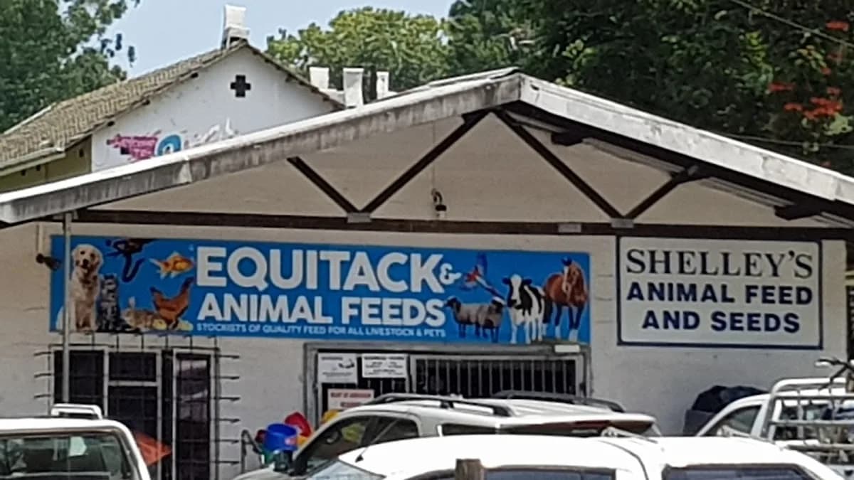 Equitack & Animal Feeds in Hillcrest