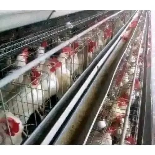 Empire Agribiz in Seshego