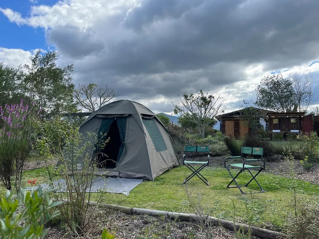 Fyn & Bos Farm in Wilderness