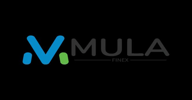 MULAFINEX TECHNOLOGY in Ilasan