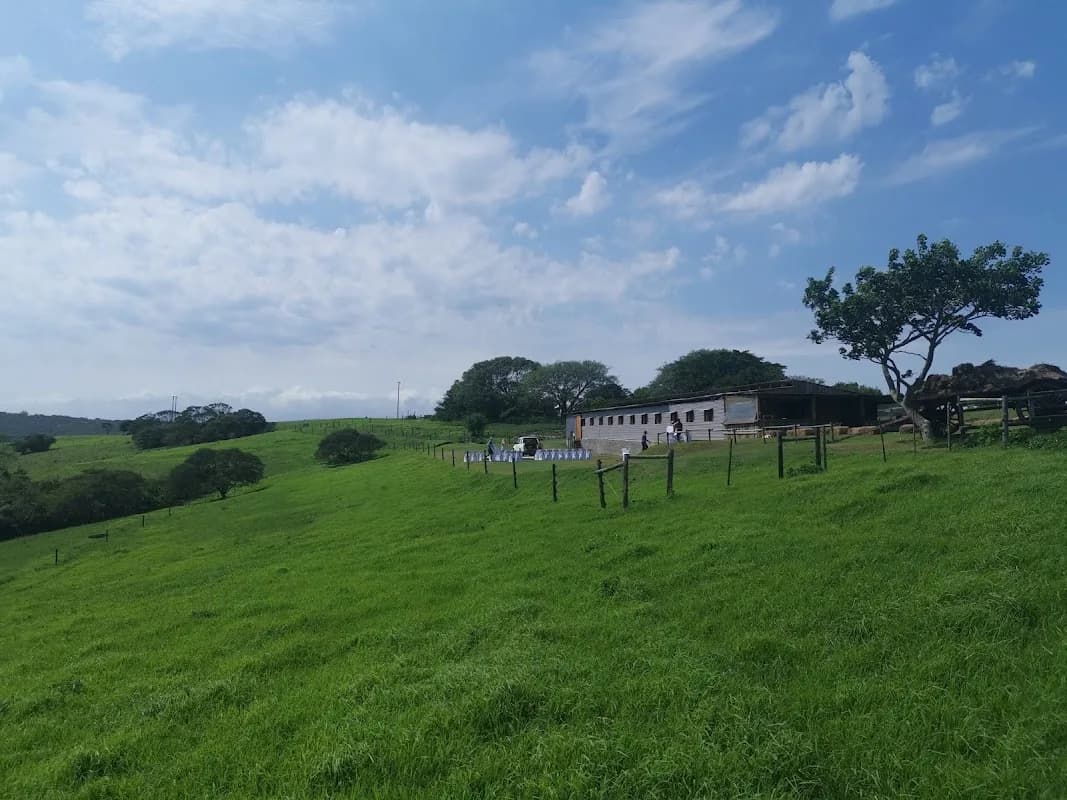 Derosa Farm in East London CBD