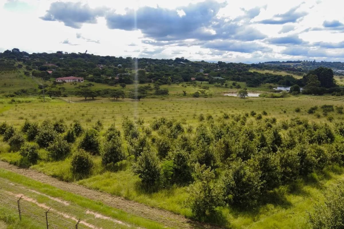EXP South Africa - Lowveld Country Living in White River CBD