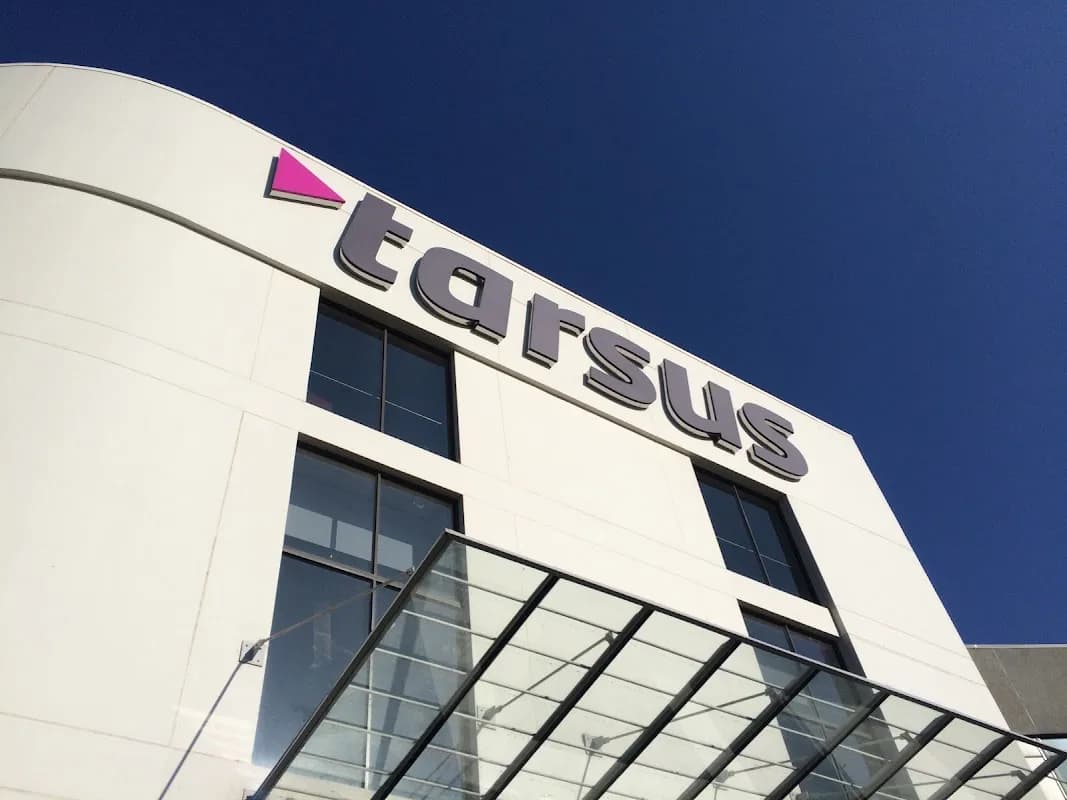 Tarsus Distribution in Woodmead