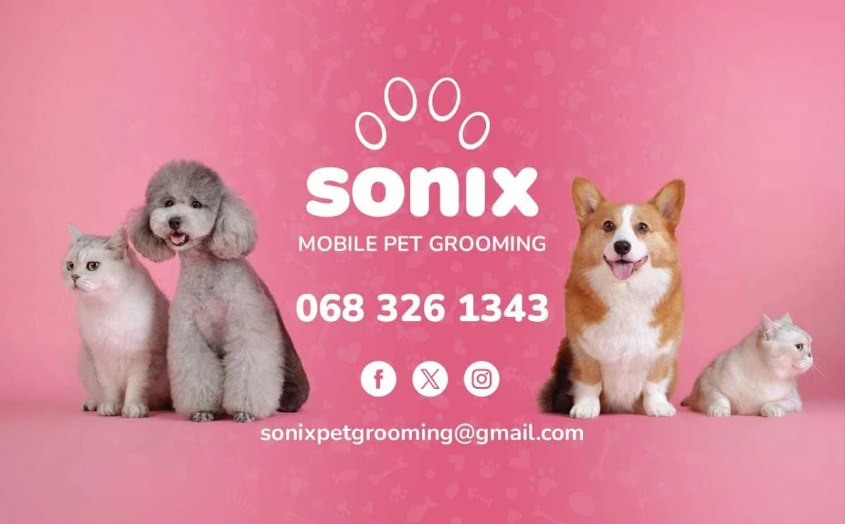 Sonix Pet Grooming in Techno Park