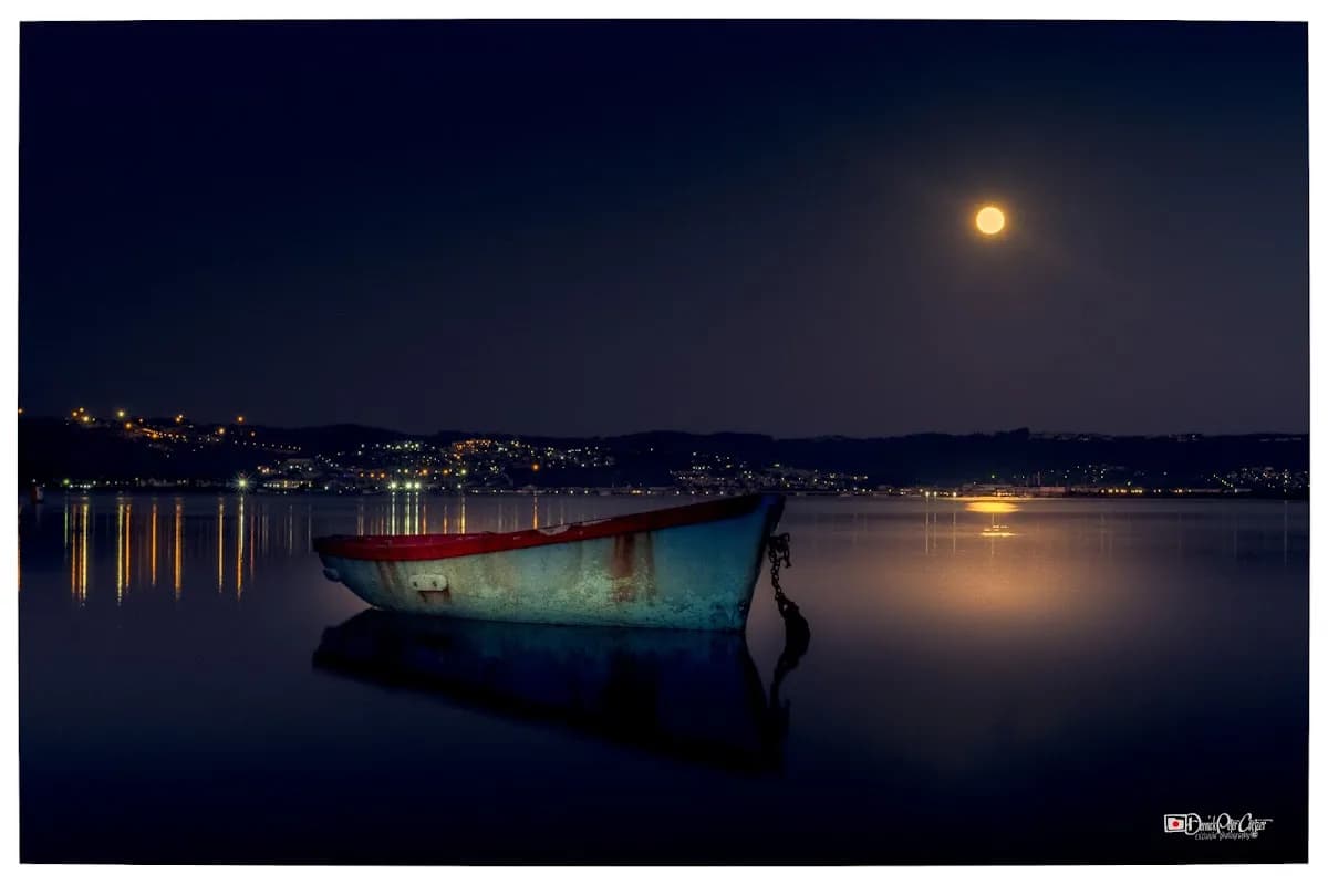 dpc-photography in Sedgefield
