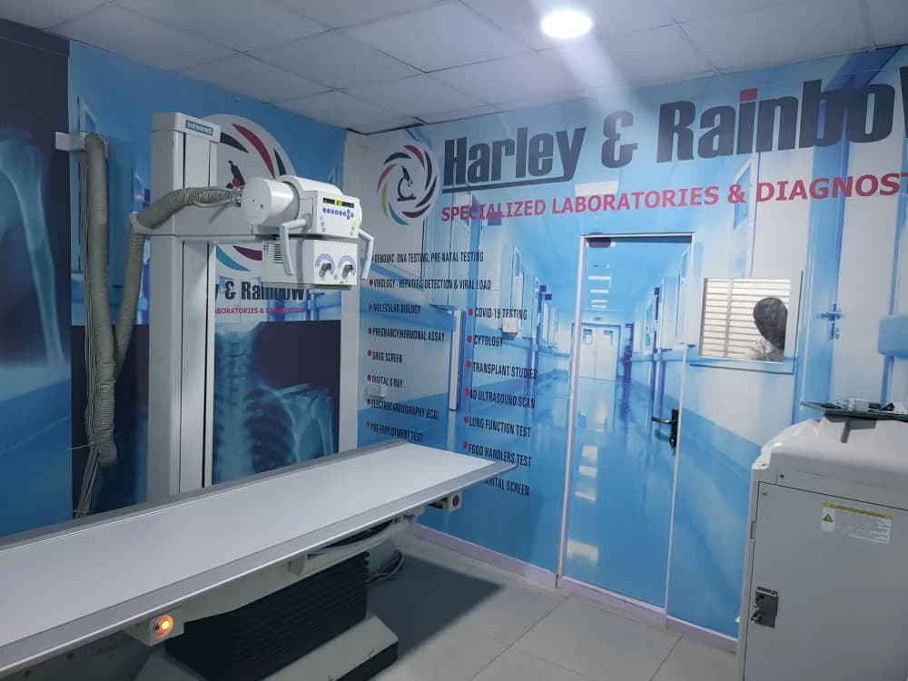 DNA-Harley and Rainbow in Ogba