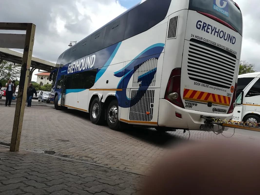 Greyhound in Pretoria CBD