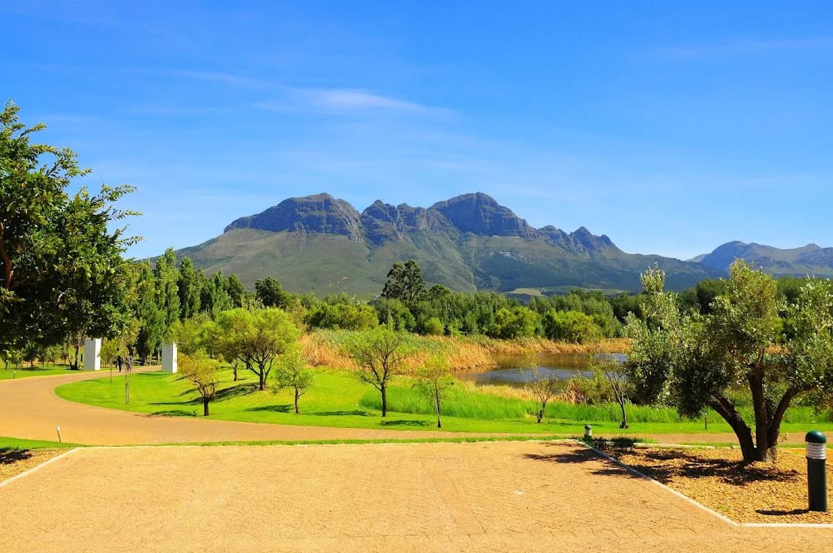 Morgenster Estate in Gordon's Bay