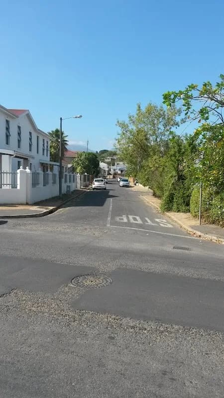 Dr TT Jones in Wellington
