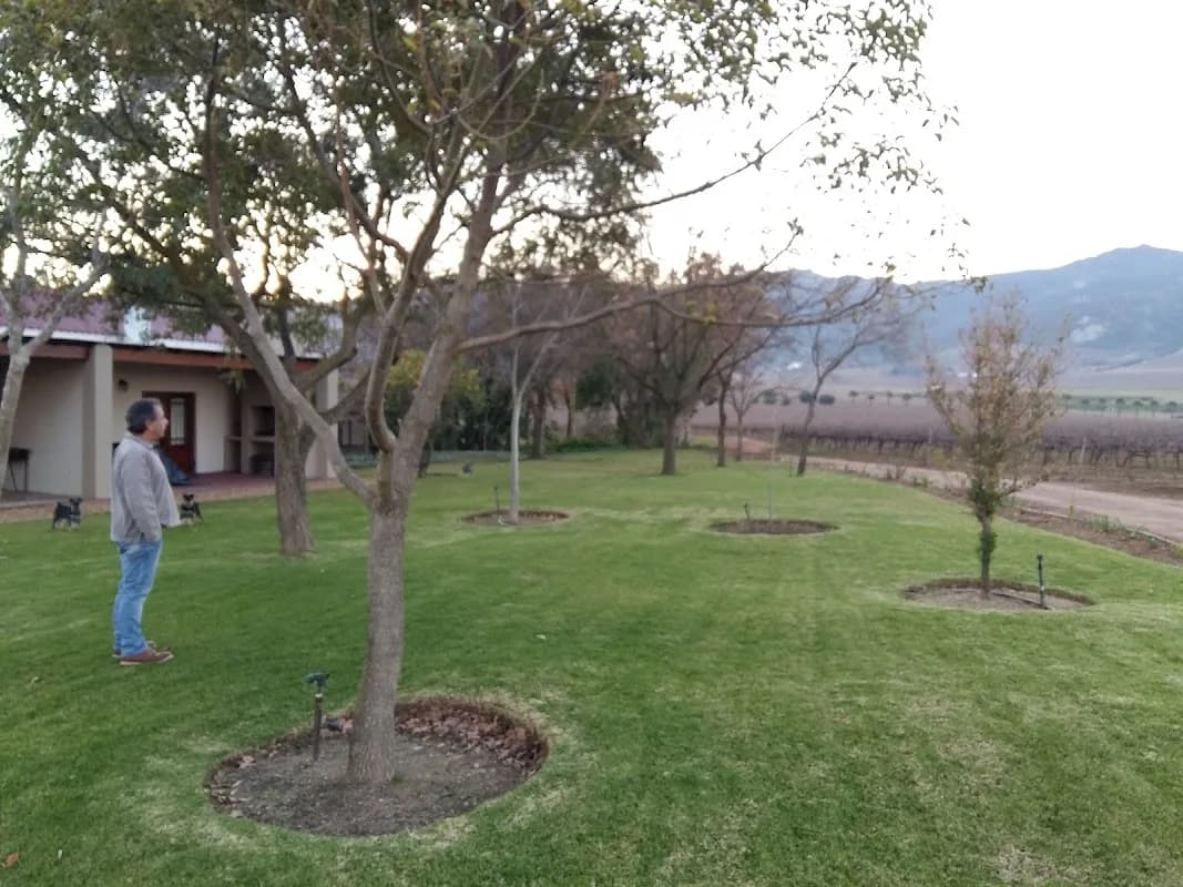 Môreson Guest Farm in Paarl East