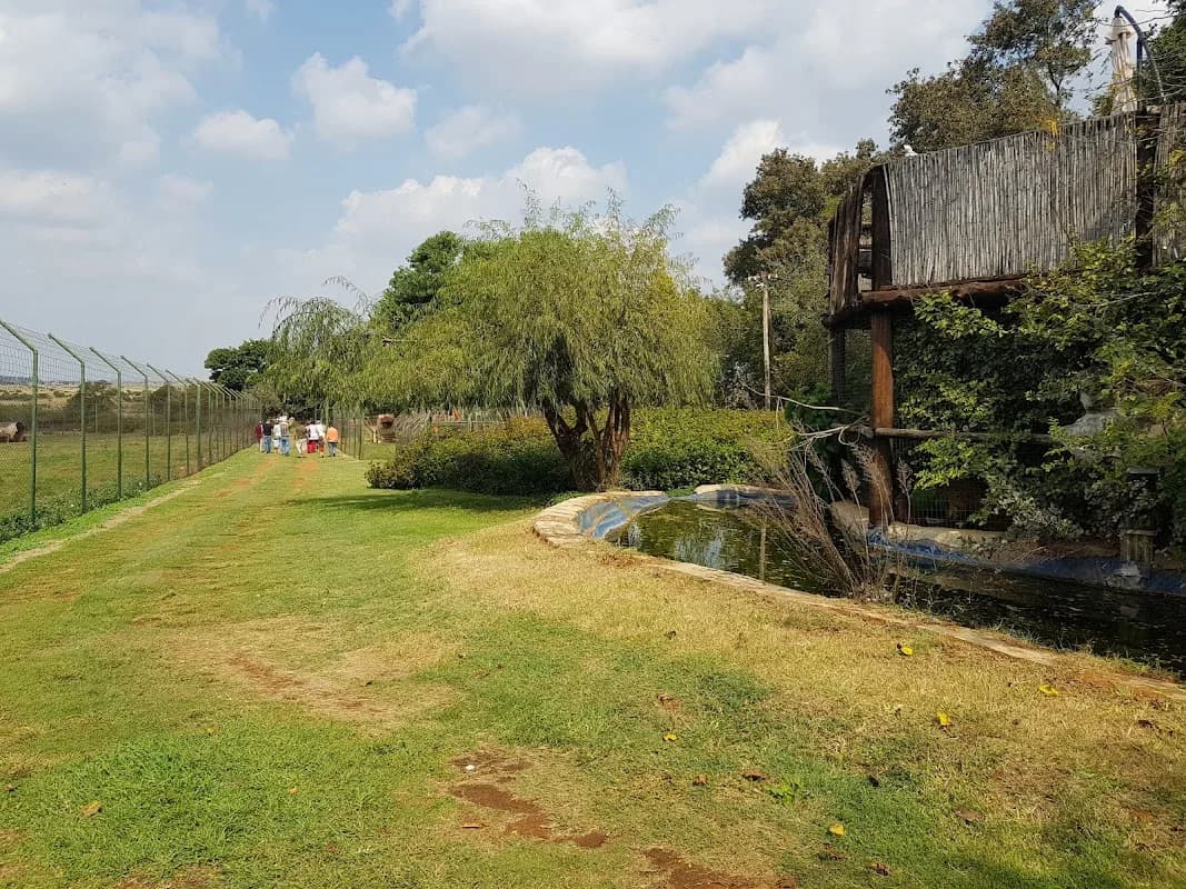 Kohra Khora Lion Park in Park West