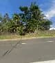 Du Plessis L M in Westmead