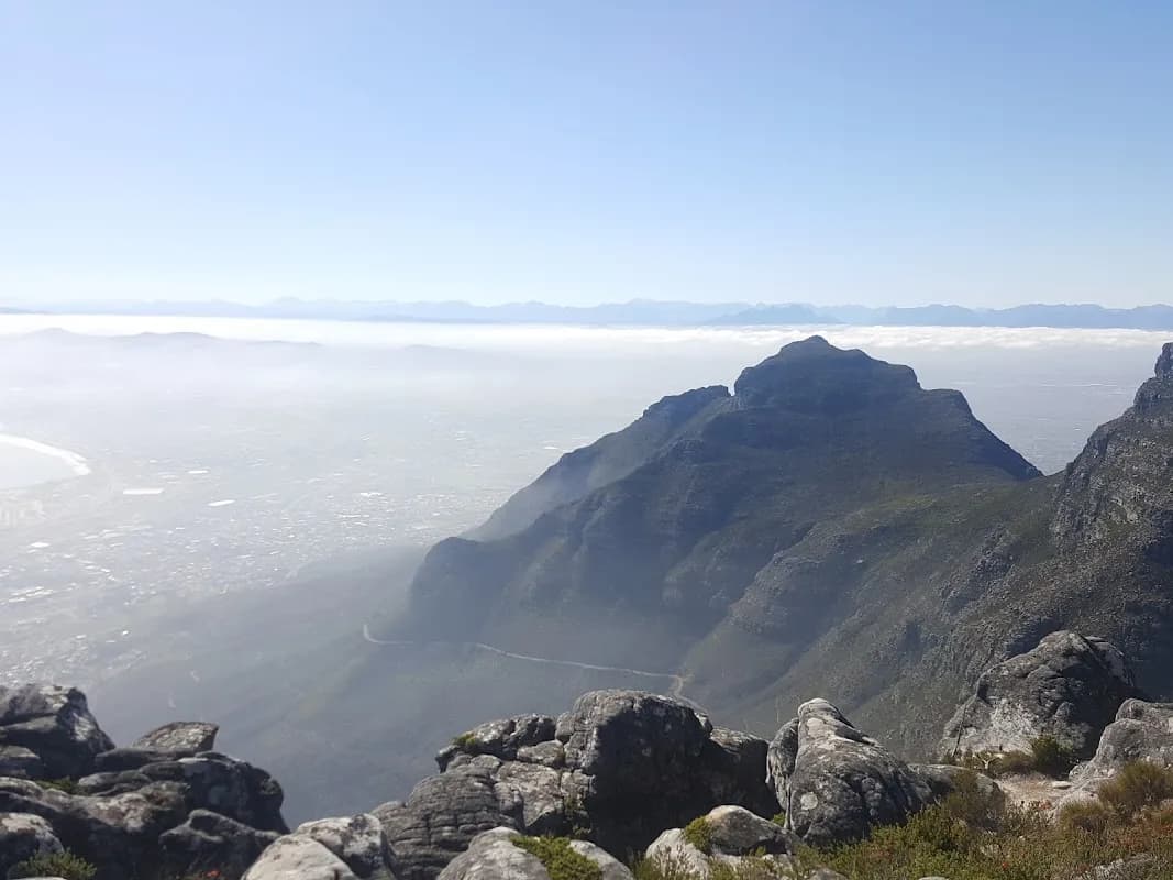 Cape Labour Law Services in Clifton
