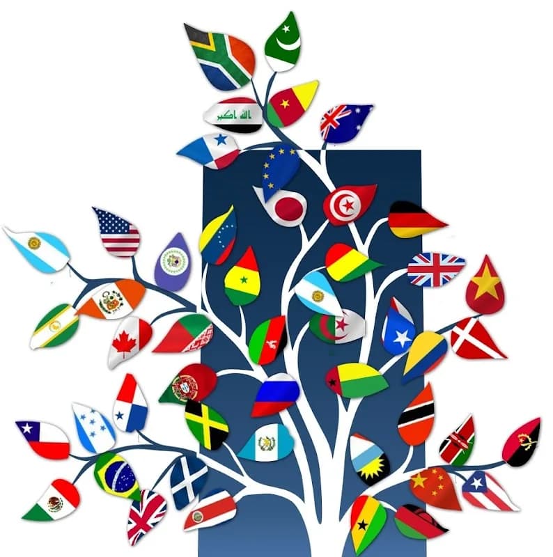 Folio Online & Folio Translation Consultants in Bellville