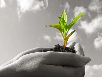Penelope Garden, Individual and Couple therapy, Codependency struggles in Kenilworth