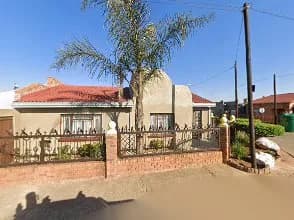 Manatee in Soweto