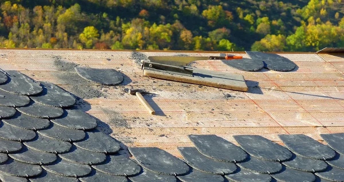 Ropace Roofing in Craighall