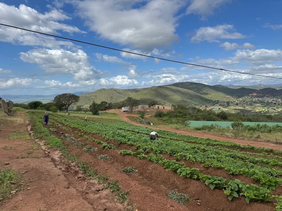 Premier Agric in Glenwood