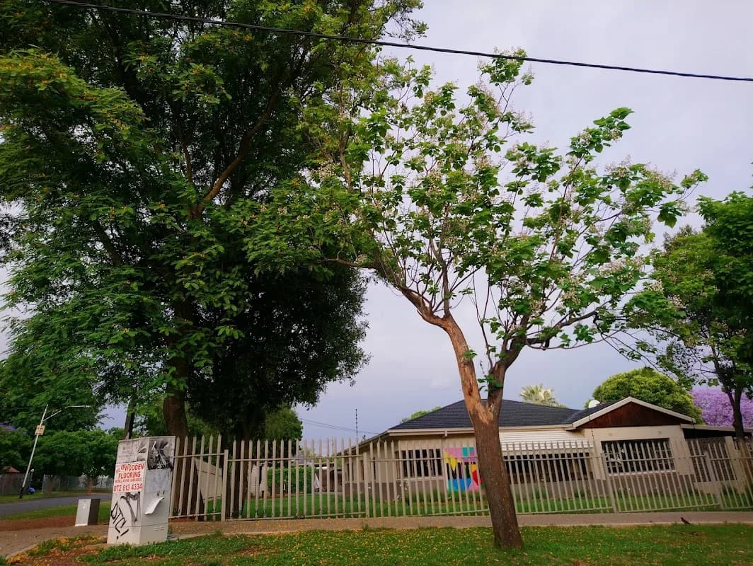 Linden in Linden