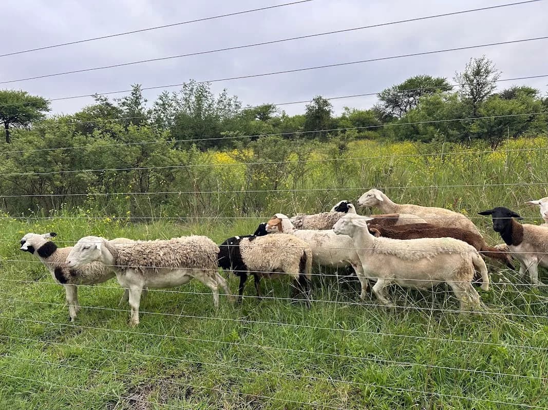 Mobu Farms in The Moot