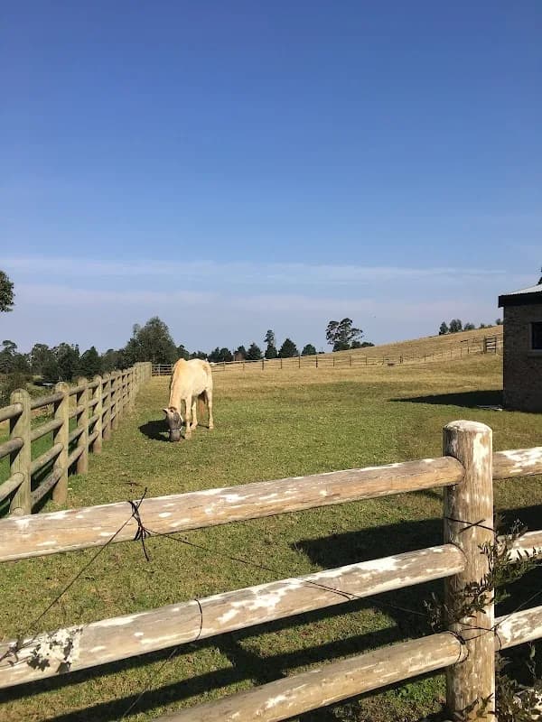 Houtbosch Farm in Heatherlands