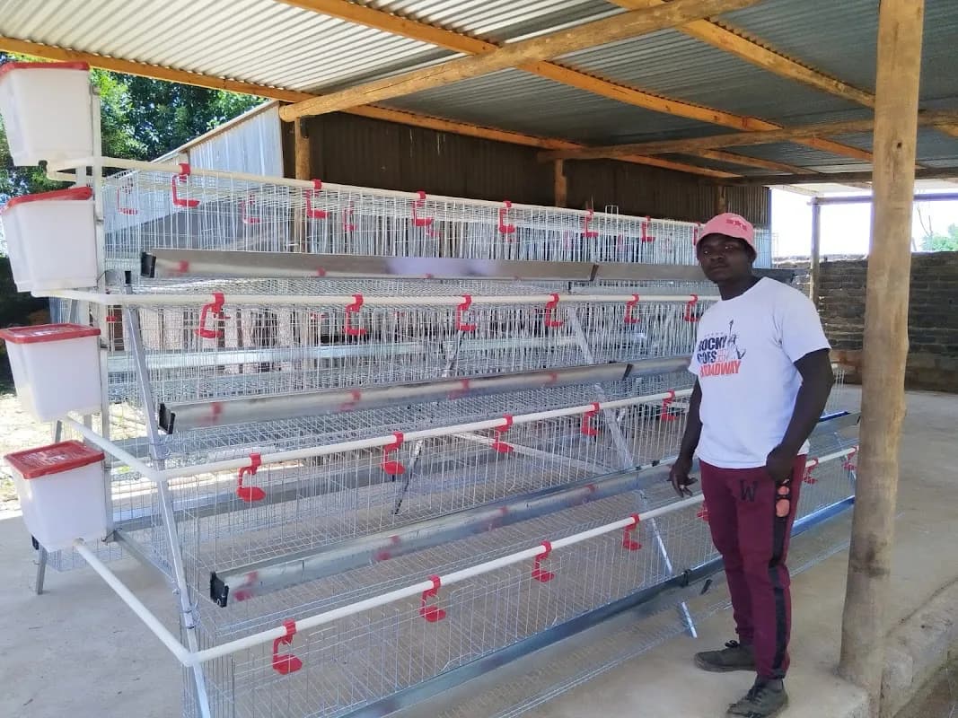 African Poultry Equipment ( Johannesburg ) in Edenvale