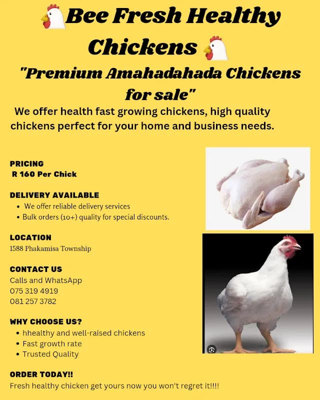 Tukl's Fresh Chickens in Cambridge East