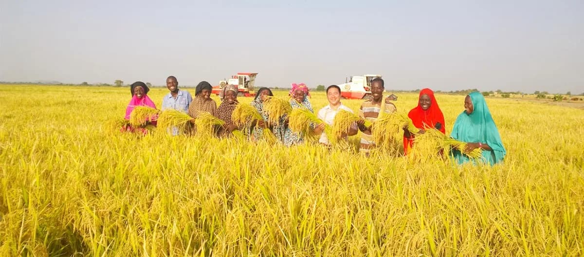 Green Agriculture West Africa Limited in Bwari