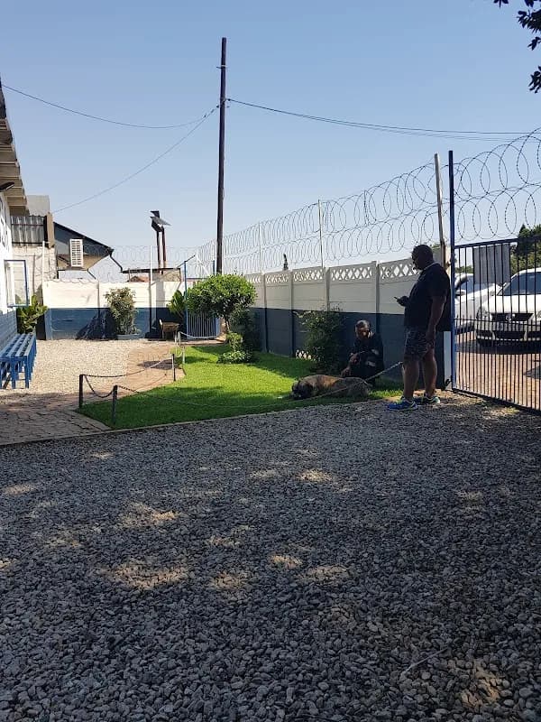 Pimville Spca in Pimville