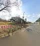 Simply Translate in Highveld