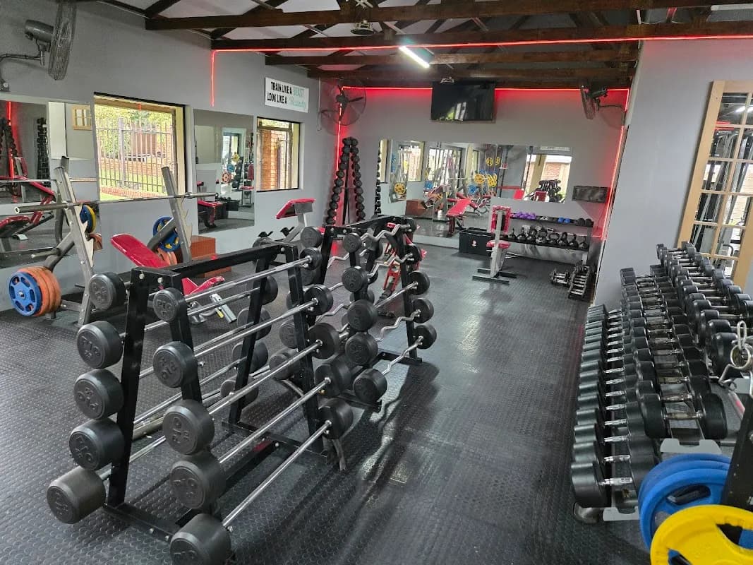 Renewed Fitness in Springs